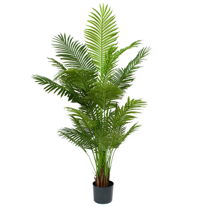 Areca Palm Tree 183cm Artificial Plants