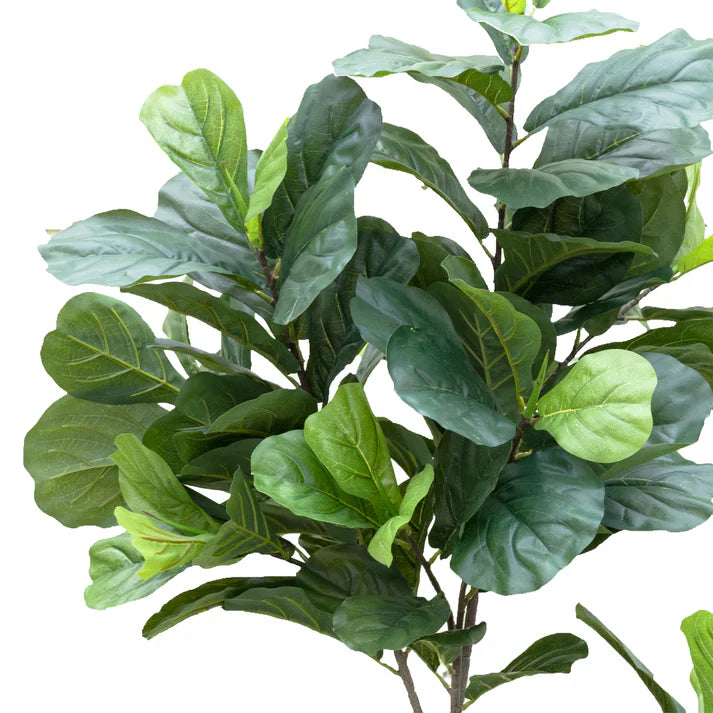 Fiddle Leaf Tree in Pot 195cm Artificial