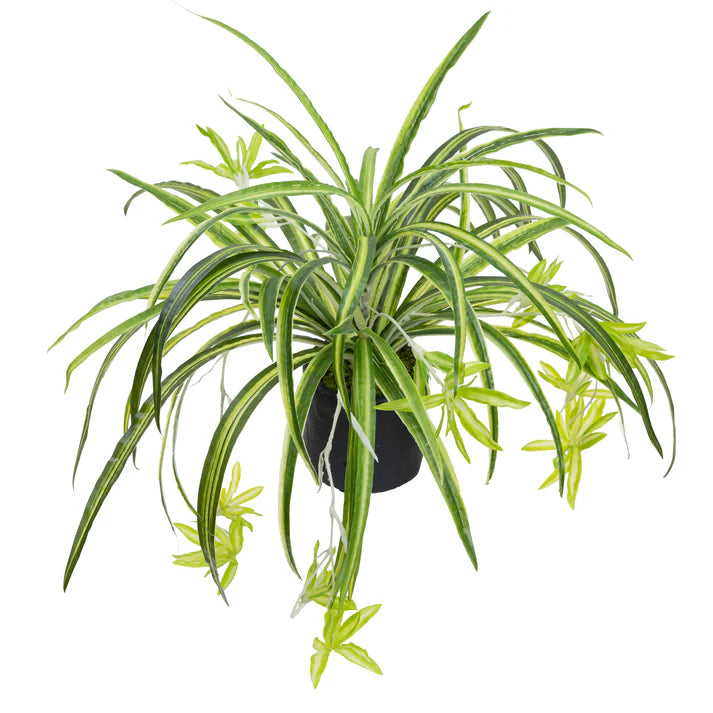 Glamorous Fusion Spider Plant in Pot - Artificial Flower Arrangements and Artificial Plants