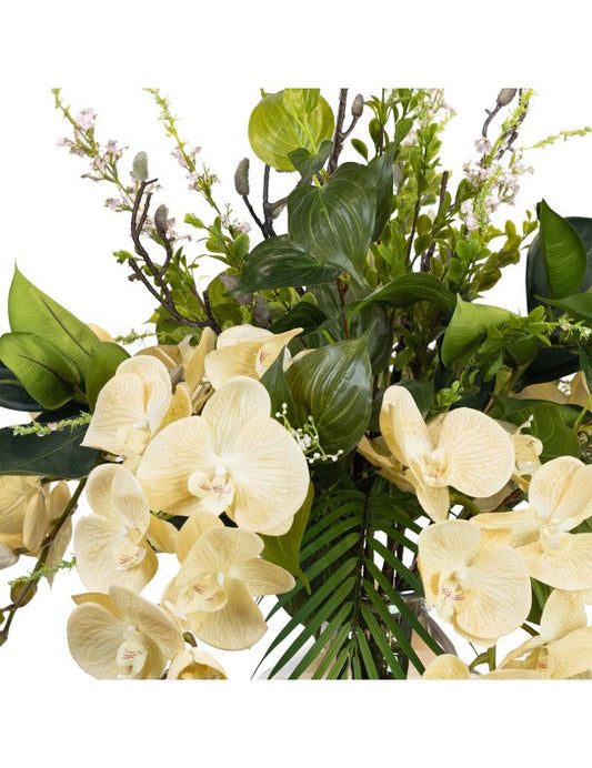 76CM ALL ROUND ORCHID ARRANGEMENT