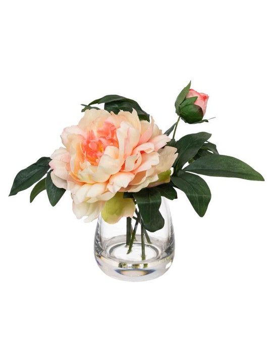 22CM PEONY MIXED ARRANGEMENT IN GLASS PEACH