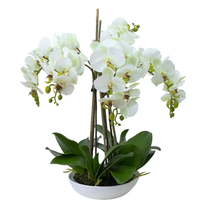 Phal Orchid in White Bowl 45cm Artificial
