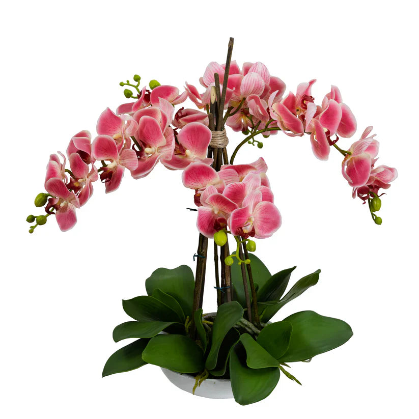 Phal Orchid in White Bowl 45cm Artificial