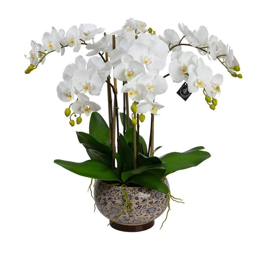 Orchid in Hampton Pedestal Bowl 52cm Artificial