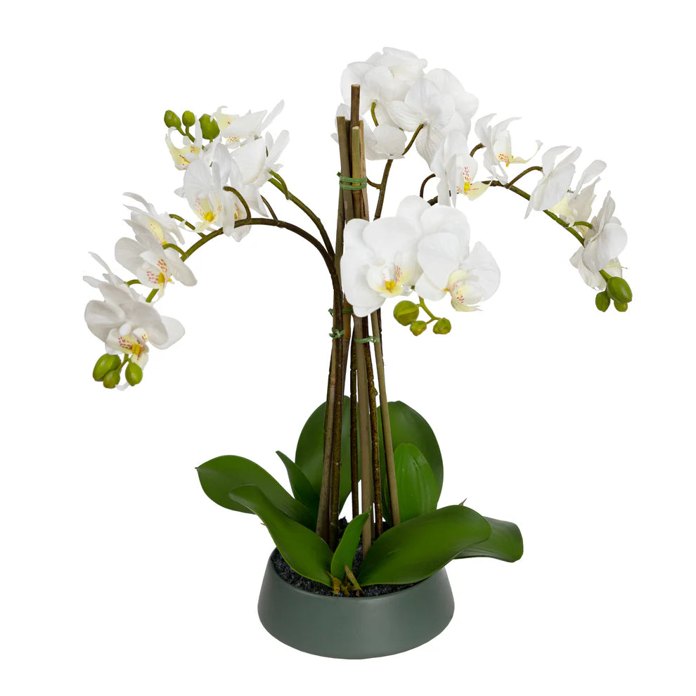 48cm Artificial Orchid in Pedestal Bowl