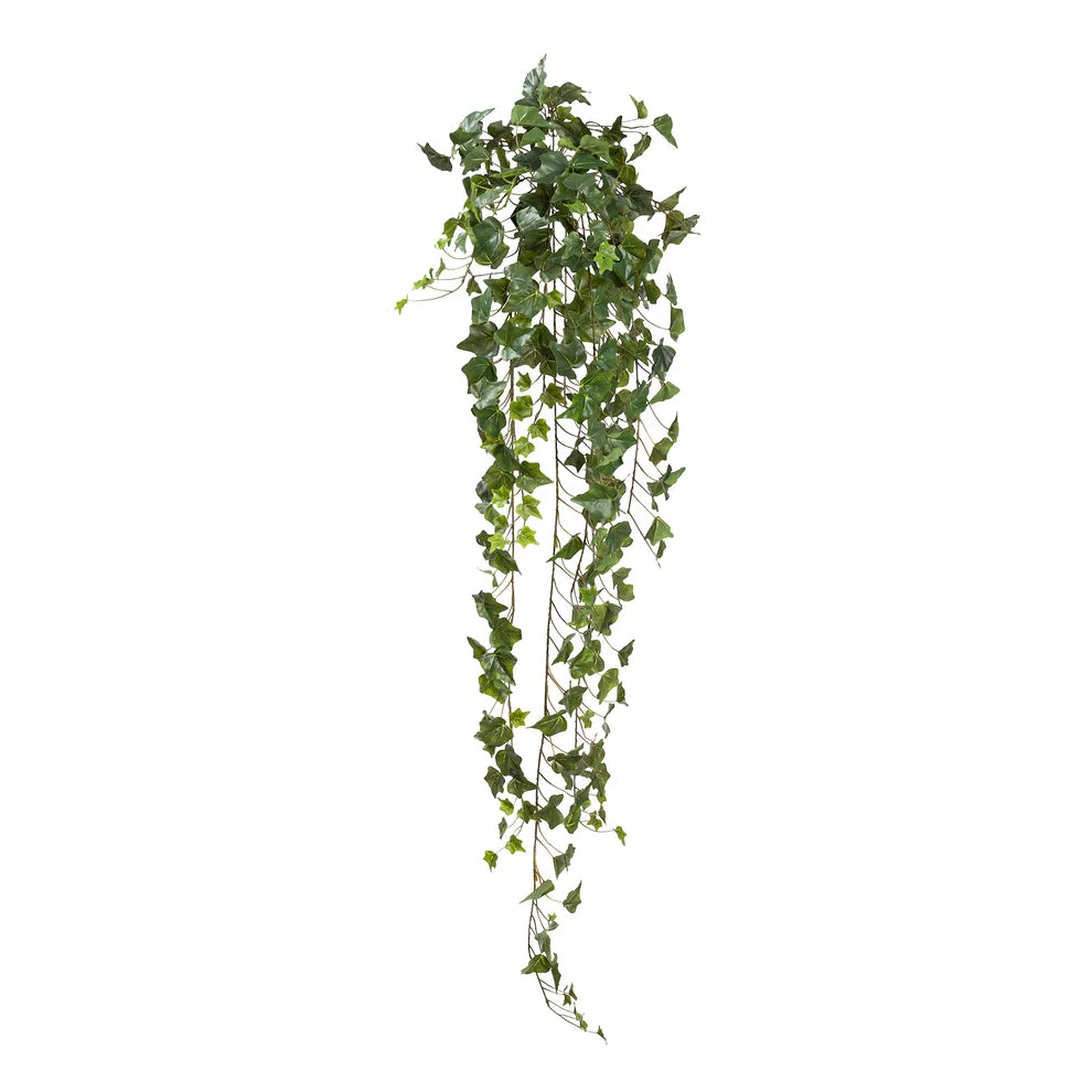 English Ivy Hanging Bush(130cm)