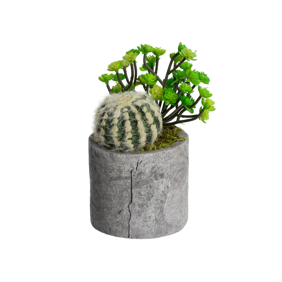Glamorous Fusion 28cm Mixed Succulent in Pot - Artificial Flower Arrangements and Artificial Plants
