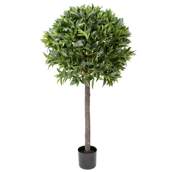 Bay Leaf Tree 125cm Artificial