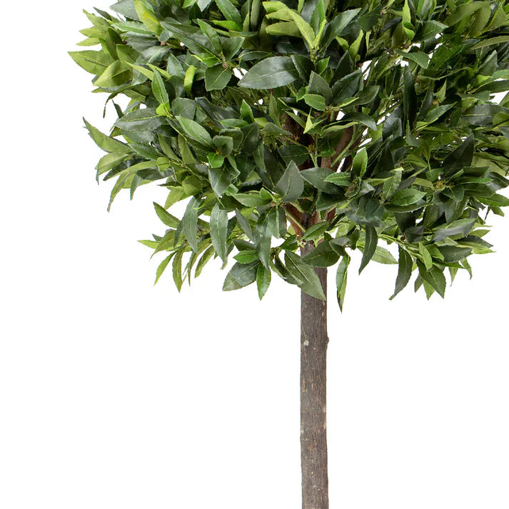 Bay Leaf Tree 125cm Artificial