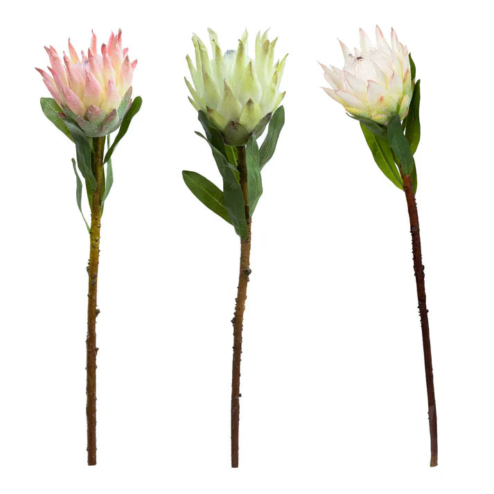 Queen Protea 72cm Artificial