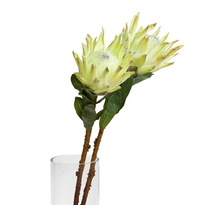 Queen Protea 72cm Artificial