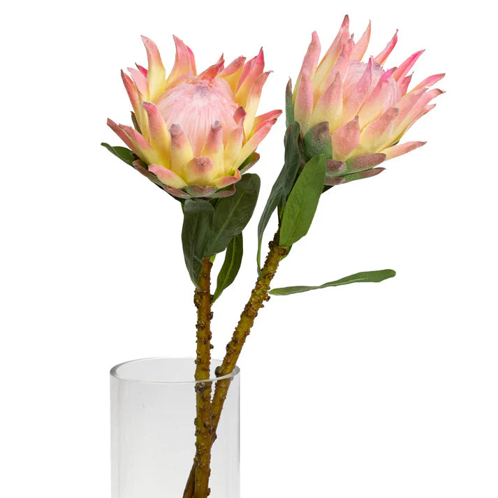 Queen Protea 72cm Artificial