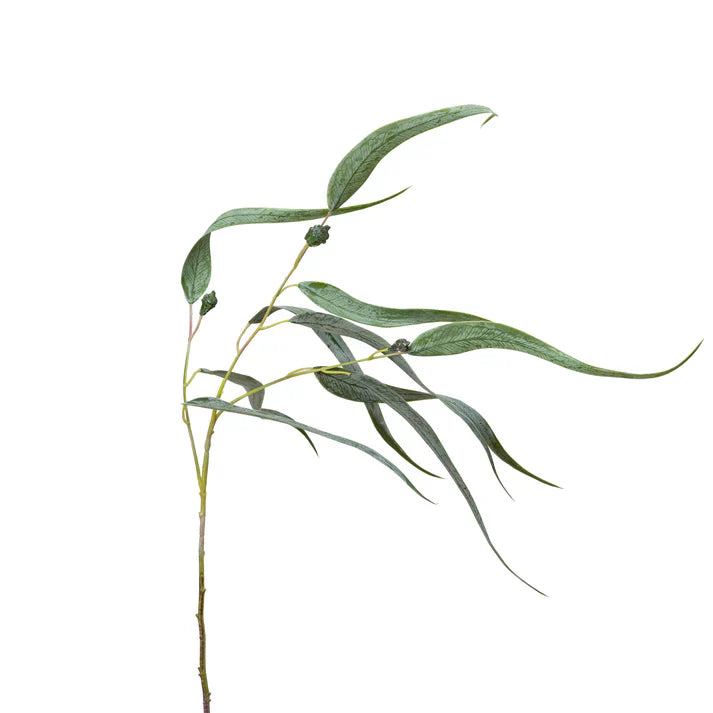 Pointed Gum with Pod 66cm Artificial