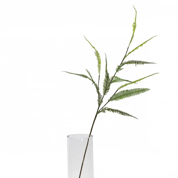 Leather Fern Branch
