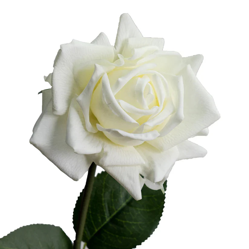 Real Touch English Rose