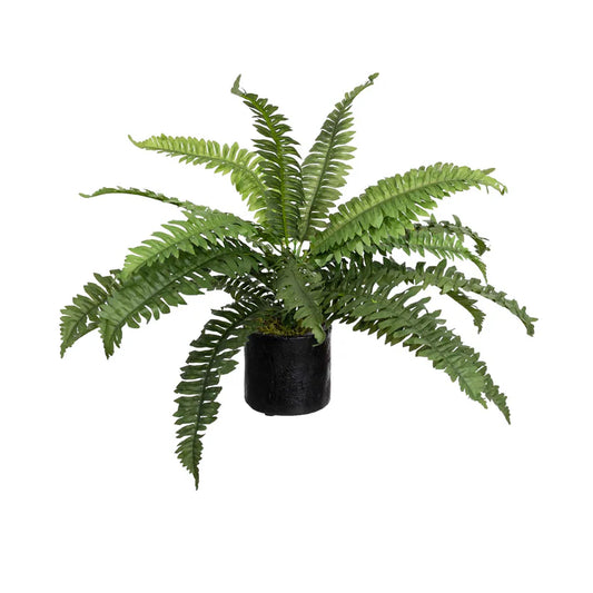 Glamorous Fusion Small Potted Boston Fern - Artificial Flower Arrangements and Artificial Plants