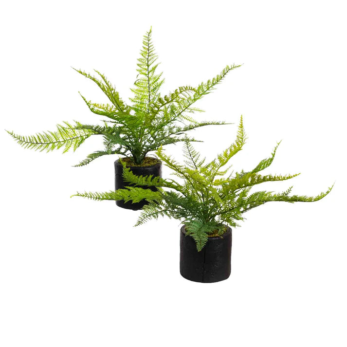 Glamorous Fusion Leather Fern Set of 2 - Artificial Flower Arrangements and Artificial Plants