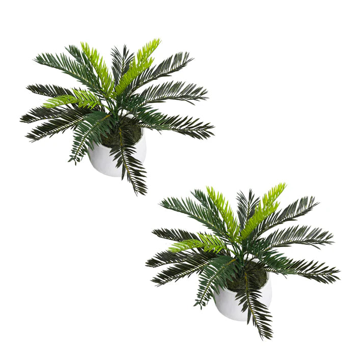 Glamorous Fusion 35cm Cycas in Pot Set - Artificial Flower Arrangements and Artificial Plants