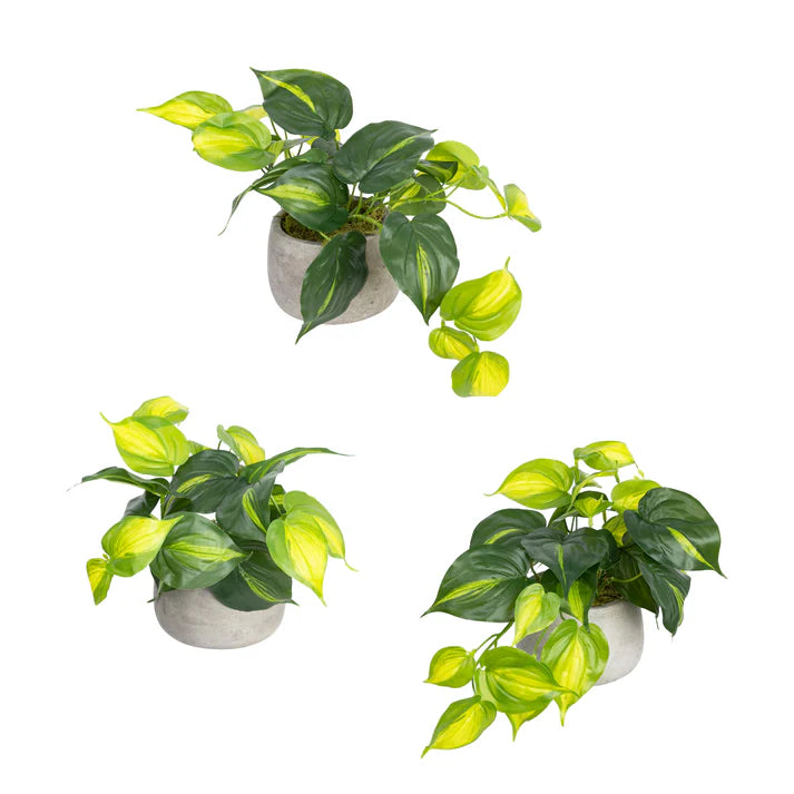 Glamorous Fusion Holland Bush in Pot Set - Artificial Flower Arrangements and Artificial Plants