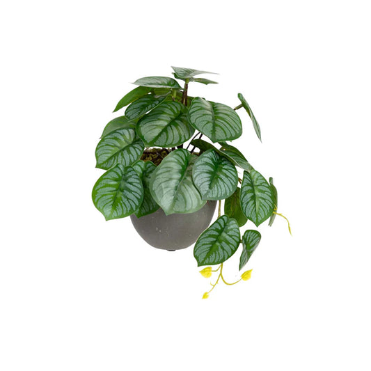 Glamorous Fusion Calathea Bush in Pot - Artificial Flower Arrangements and Artificial Plants