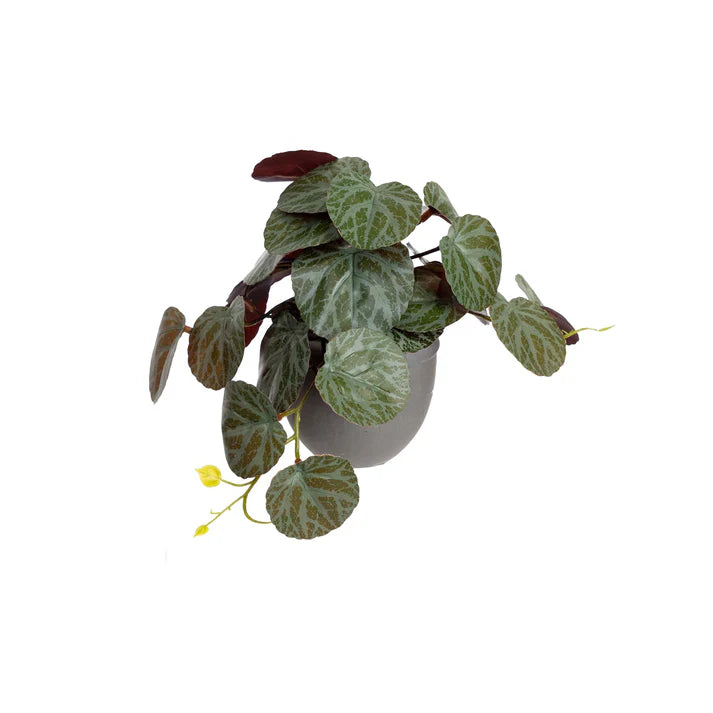 Glamorous Fusion Gerainium Bush in Pot - Artificial Flower Arrangements and Artificial Plants