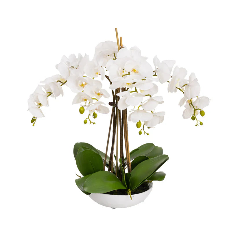 Phal Orchid in White Bowl 45cm Artificial