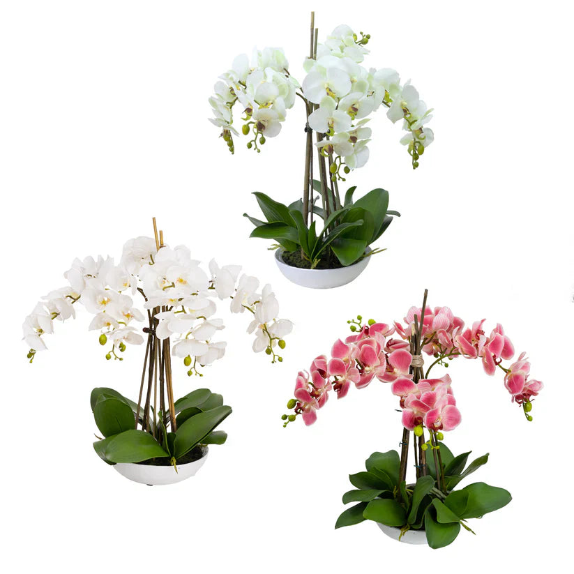 Phal Orchid in White Bowl 45cm Artificial