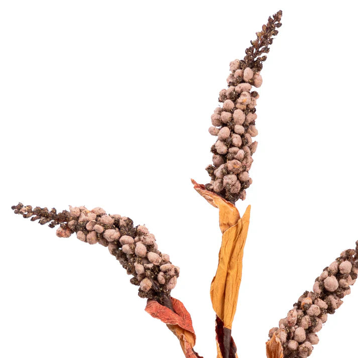 Dried Look Berry Spray