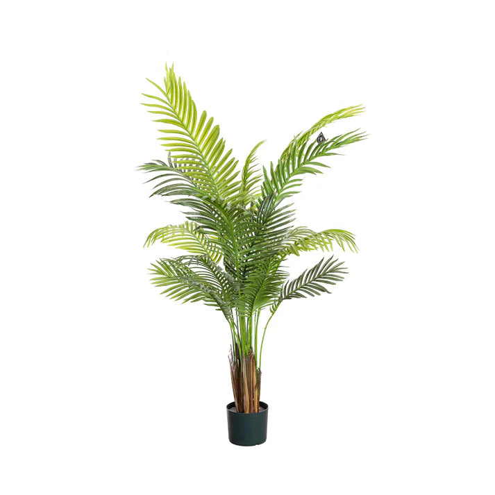 Glamorous Fusion 137cm Areca Palm Tree - Artificial Flower Arrangements and Artificial Plants