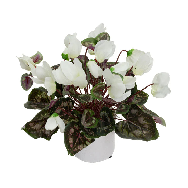 Glamorous Fusion Cyclamen in Pot - Artificial Flower Arrangements and Artificial Plants