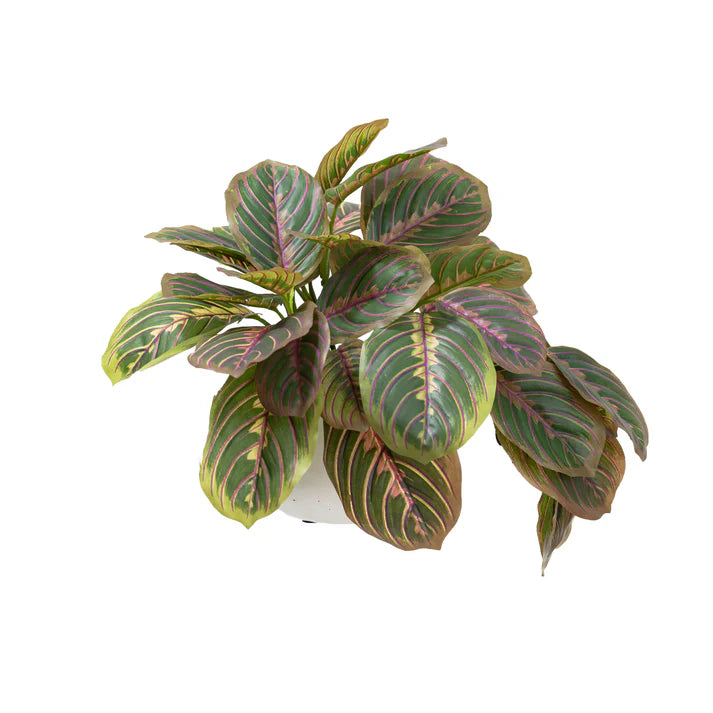 Glamorous Fusion Peacock Bush in Pot - Artificial Flower Arrangements and Artificial Plants
