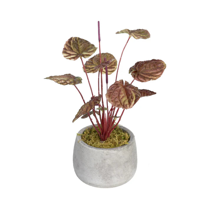 Glamorous Fusion Begonia Bush in Pot - Artificial Flower Arrangements and Artificial Plants