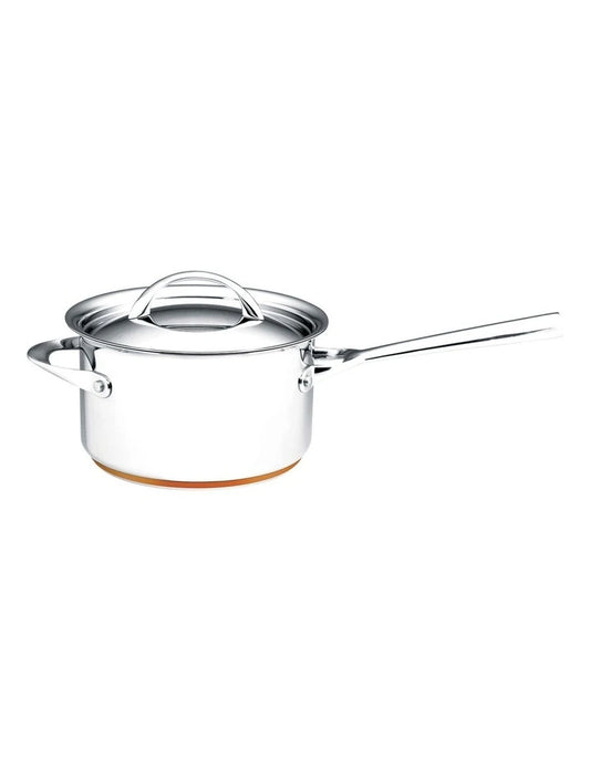 Stainless steel saucepan with lid for everyday cooking and kitchen use