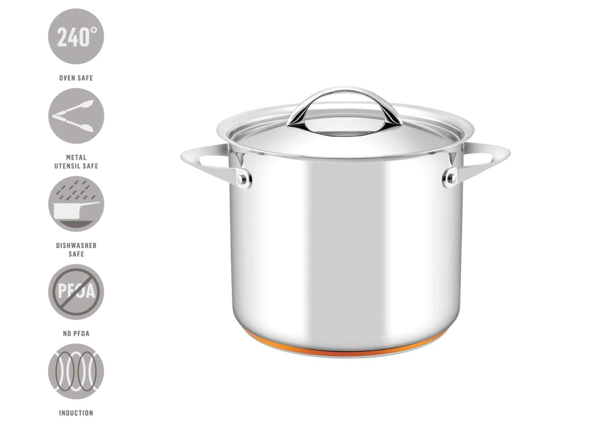 Large 9 Litre Essteele Per Vita Stockpot for Soups and Stocks